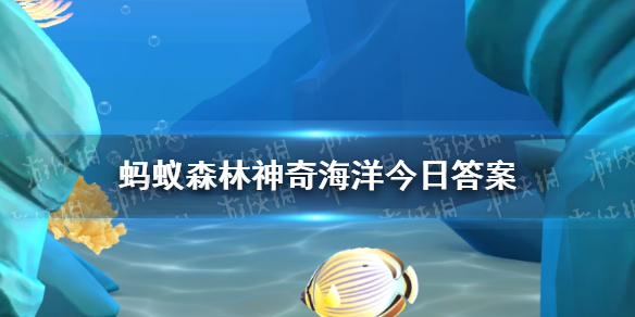 神奇海洋今日答案4.7 哪种深海鱼被称为鹈鹕鮼鱼图1