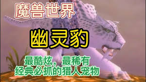 魔兽世界猎人宝宝幽灵豹在哪里捕捉 探索魔兽世界猎人宝宝幽灵豹的获取地点图2